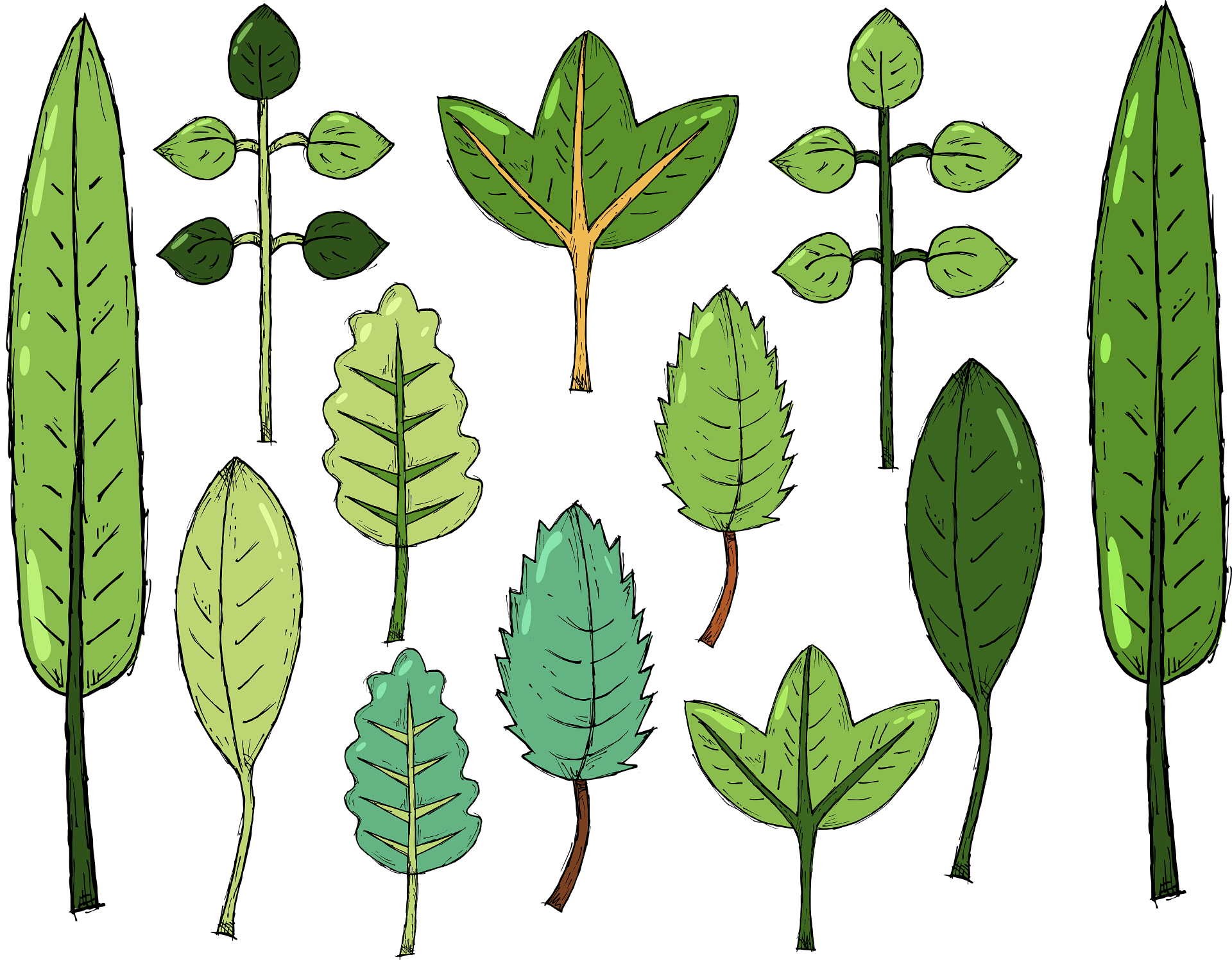 Escuchar podcast El Reino de las plantas
