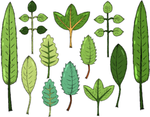 Escuchar podcast El Reino de las plantas